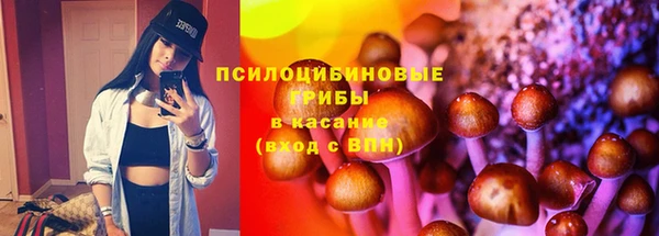 шишки Богородицк